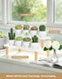2 15mm Kitchen,Countertop,Office Shelf,Modern,(14.2") Tiered White Table Top Plant Stand, Thick Wooden Desktop