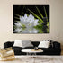 Canvas Wall Art - White Lotus and Black Zen Stones Picture, Modern Wall Decor, 12" x 16"