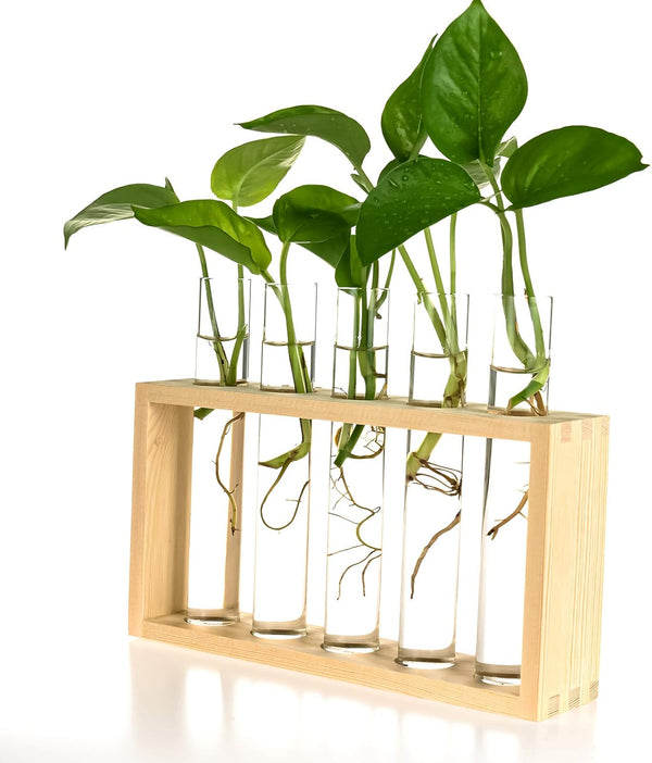 Kingbuy Wall Propagation Station with 5 Test Tube Vases - Vintage Wood