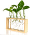 Kingbuy Wall Propagation Station with 5 Test Tube Vases - Vintage Wood