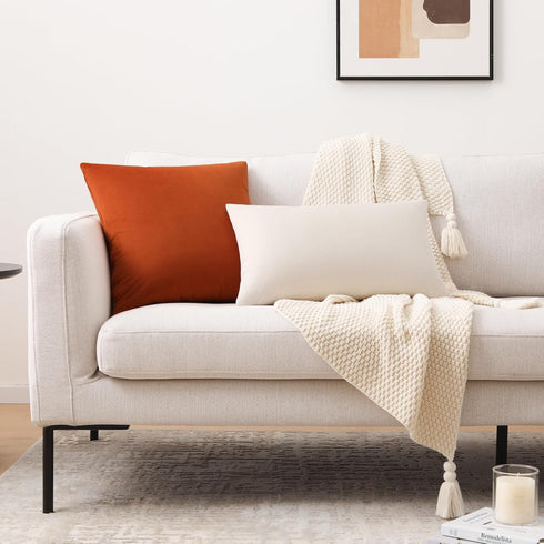 Mixhug Decorative Throw Pillow Covers, Velvet Cushion Covers, Solid Throw Pillow Cases, Burnt Orange, 20 x 20 Inches,