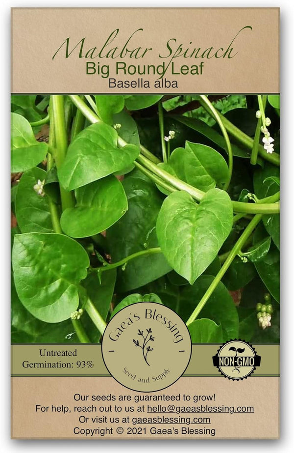 Gaea's Blessing Seeds - Malabar Spinach Seeds - Non-GMO Seeds with Easy