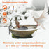 60W De-icer Submergible Bird Bath Heater Thermostatic Controlled Chicken Water Heater for Outdoors in Winter Animal