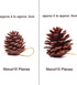 Whaline 25 Pcs Christmas Pine Cones Decoration with String, Natural Rustic Pinecones Bulk Ornaments for Crafting