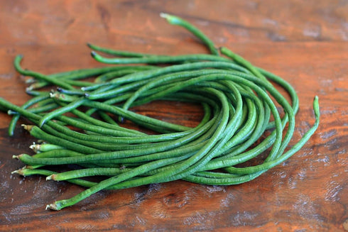 5 30+ Count 2026 TomorrowSeeds - Colors Mix Yard Long Bean Seeds - - for Planting Purple Green Red Pink White Rainbow