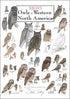 Earth Sky + Water - Sibley s Owls of Western North America Poster