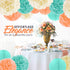 EpiqueOne 22-Piece Party Set - Tissue Paper Pom Poms in Mint, Ivory & Peach | Includes 12 Pom Poms, 6 Lanterns, 3