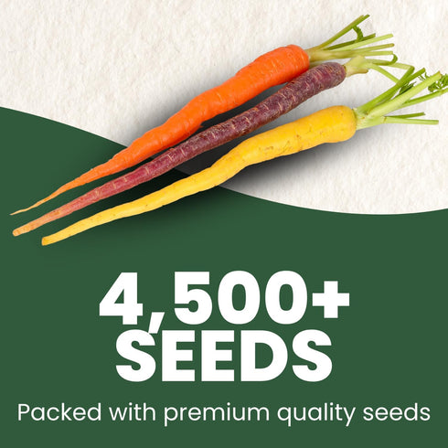 4,500 2026 5 Carrot Rainbow Mix Premium Heirloom Seeds for Planting Colorful, Sweet Root Blend for Garden & Kitchen