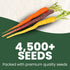 4,500 2026 5 Carrot Rainbow Mix Premium Heirloom Seeds for Planting Colorful, Sweet Root Blend for Garden & Kitchen