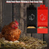WHXE MNHEE Feeder,2 Pack 5-6 Automatic Chicken Grit Metal Hanging Chicken and Poultry Feeder,No-Waste Design,Easy