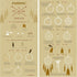 FANDOL DIY Dream Catcher Beginner Kit, Making Dream Catcher Supplies Include Metal Hoop, Feathers, Faux Suede Cord