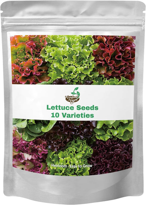20,000+ Lettuce Seeds, Heirloom Vegetable Seed for Planting Indoor Outdoor, 10 Varieties