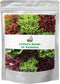 20,000+ Lettuce Seeds, Heirloom Vegetable Seed for Planting Indoor Outdoor, 10 Varieties