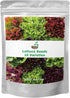 20,000+ Lettuce Seeds, Heirloom Vegetable Seed for Planting Indoor Outdoor, 10 Varieties