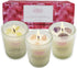 Soy Candles with Healing Crystals, 3PC Scented Candle Set, Eucalyptus + Lemongrass, Jasmine + Sandalwood, 2.47oz Each