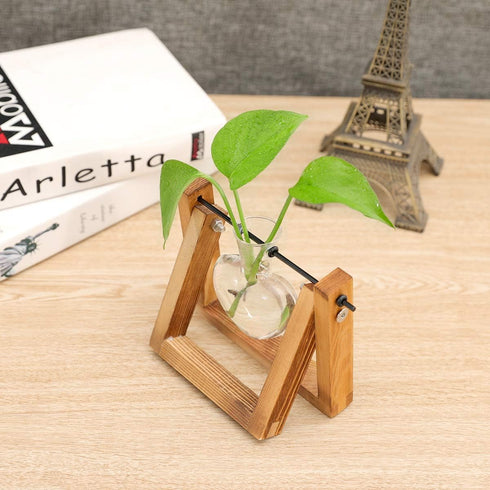1 Kingbuy Terrarium with Wooden Stand, Desktop Propagation Station, Air Plant Holder, Metal Swivel Holder
