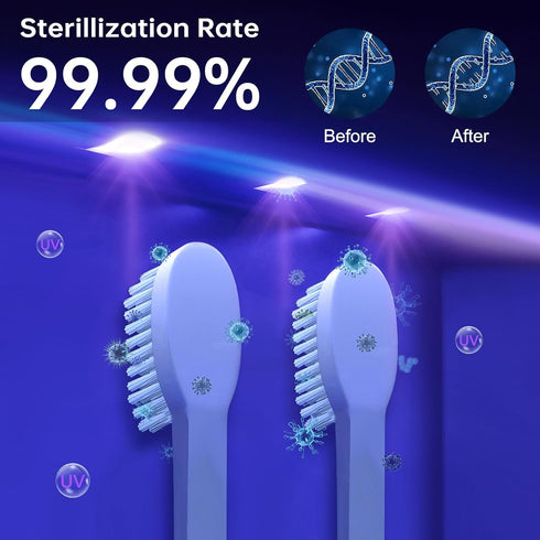 99.9% TAISHAN UV Sanitizer Toothbrush CasePortable Mini Toothbrush Holder with Fan Drying Function,Kills of GermsFits