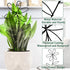 AEDOVE 2 Pcs Indoor Plant Trellis, Mini Garden Trellis for Potted Plants, Indoor Potted Plant Climbing Plants Flower