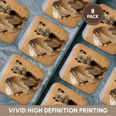 3dRose CST_164767_2 Smiling Camel at Bedouin Camp in Oman Photo by Rhonda Albom, Soft Coasters, Set of 8
