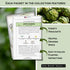 Packets Sow Right Seeds - Perennial Vegetable Seed Collection for Planting - Artichoke, Rhubarb, and Asparagus - Tasty