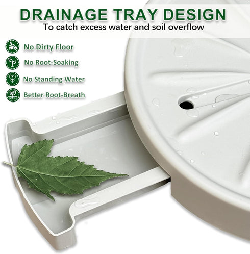 12 2 Pack Plant Caddy with Wheels and Drainage Tray Heavy Duty Rolling Planter Base & Indoor Plant Tray, Flower Pot