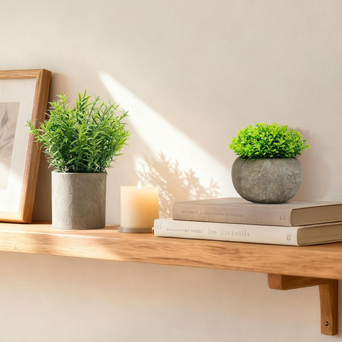 AUUGUU Artificial Potted Plants Faux Greenery in Cement Pots for Shelf, Bookshelf, Office or Home Decor, Small