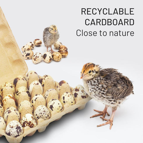 HavRixor 30 Pack- Dozen 24 Counts Quail Egg Cartons Holds Up to Two Eggs Bulk Blank Container Empty Cardboard Thickness