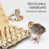 HavRixor 30 Pack- Dozen 24 Counts Quail Egg Cartons Holds Up to Two Eggs Bulk Blank Container Empty Cardboard Thickness