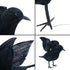 3-Pack Realistic Handmade Black Feathered Crow Prop for Halloween Party Decoration, Indoor and Outdoor Use