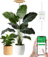 Plant Grow Light,yadoker Smart Plant Light Compatible with Alexa,Google for Indoor Plants,Height