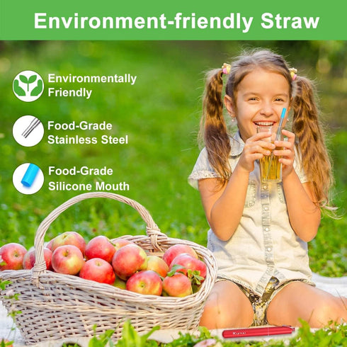 Kynup 4 Packs Reusable Metal Straws with Silicone, Travel Drinking Straws with Case, Keychain, Cleaning Brushes, 20 PCS
