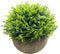 Mini Fake Cypress Cedar Plants - Small Artificial Faux Greenery for Bathroom Home Office Desk Decor (Potted Plants) (2)