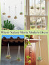 6 3" Pcs Hanging Wooden Air Plant Holder - Round Airplants Live Hanger with Ropes, Rustic Tillandsia Succulent Display
