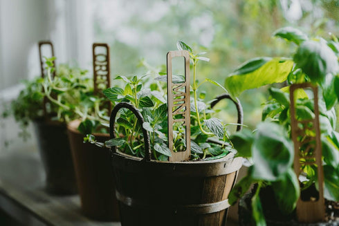 Vyperion 6" 1" Bamboo Plant Labels | Laser Cut x Weatherproof Plant Markers, Outdoor Plant Markers, Herb Garden Signs