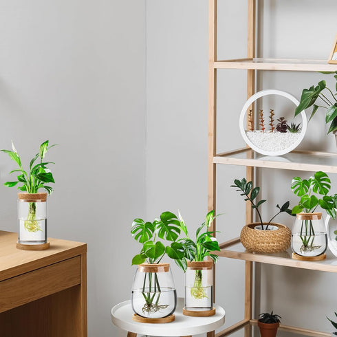 4 Layhit Pcs Plants Propagation Stations vases Glass Planters with Wooden Lid and Bamboo Stand for Hydroponic Plants