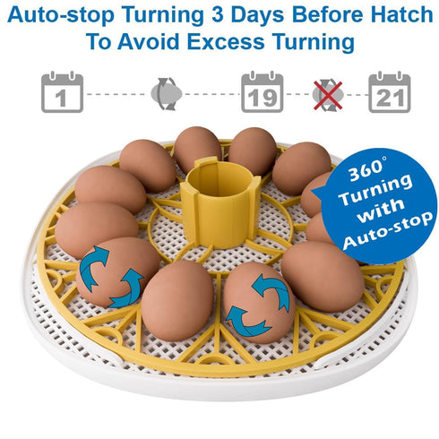 Meuiosd 12-24 Egg Incubator Eggs Automatic Intelligent Incubators for Hatching Eggswith Automatic Turner
