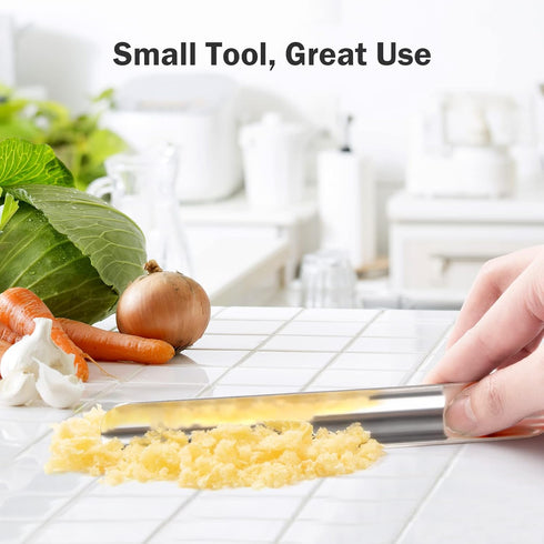 Restaurant Crumb Sweepers, High Quality Stainless Steel Crumb Scraper Tool for Waiters, 1 PACK, Silver