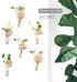 6-Pack Geometric Glass Plant Propagation Station with Wooden Stand