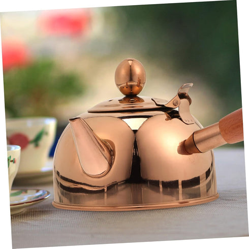 Vintage Japanese Tea Set, Stainless Steel Water Jug, Small Teapot, Gongfu Teapot, Stovetop Kettle