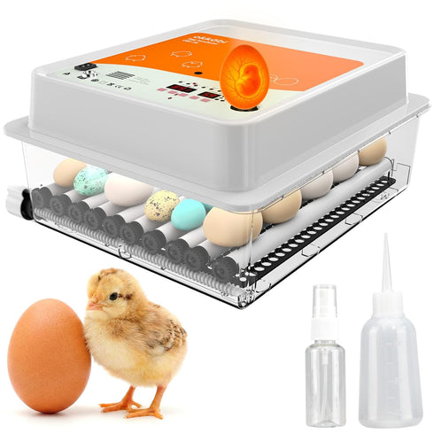 OBI-36 Egg Incubator for Hatching - 36 Eggs - Stable Temperature &