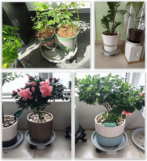 10 Inch 10.4" 110 Lbs, 2 Pack Plant Caddy with Wheels & Water Container, Round Plant Tray with Water Drawer, Rolling