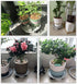 10 Inch 10.4" 110 Lbs, 2 Pack Plant Caddy with Wheels & Water Container, Round Plant Tray with Water Drawer, Rolling