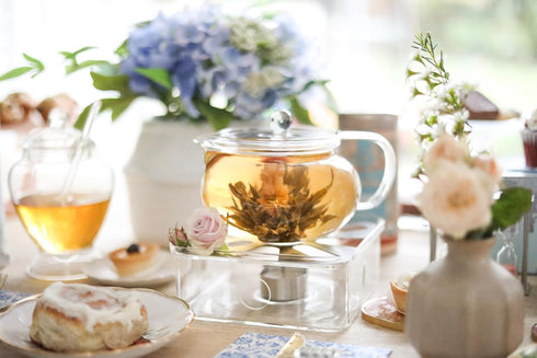 2-in-1 Teabloom Kyoto Tea Kettle and Tea Maker Glass Teapot with Removable Loose Tea Infuser Tea Connoisseur's Choice