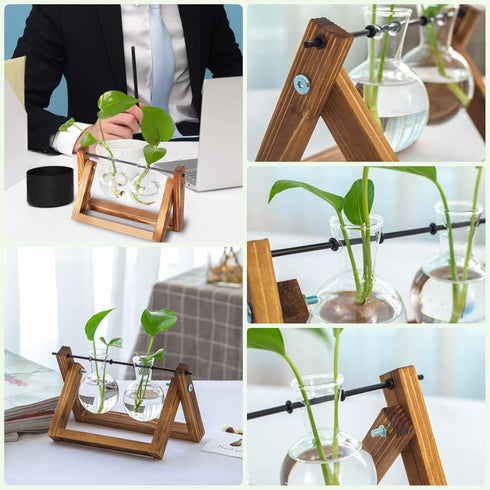 (2 Bulbs) Kingbuy Glass Desktop Planter with Retro Wooden Stand and Plant Terrarium vase for Indoor Office Desk Decor