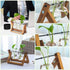 (2 Bulbs) Kingbuy Glass Desktop Planter with Retro Wooden Stand and Plant Terrarium vase for Indoor Office Desk Decor