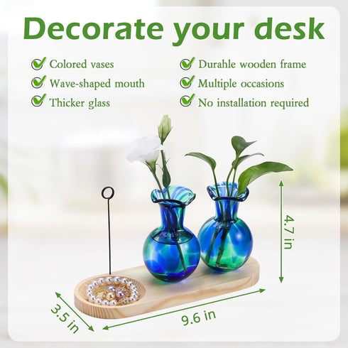 Pozfun 2 Bulb Hand Blown Glass Plant Propagation Stations Plant Terrarium Wooden Stand for Hydroponic Plants Combine