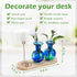 Pozfun 2 Bulb Hand Blown Glass Plant Propagation Stations Plant Terrarium Wooden Stand for Hydroponic Plants Combine