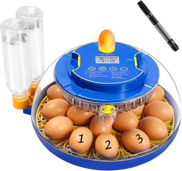 IIGLOWING 18 Egg Incubators for Hatching Eggs360Airflow Circulation System Incubator with Automatic Egg