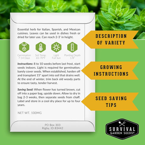 Pack 10 Set Indoor Herb Seeds Variety | Herbs for Planting Basil, Mint, Parsley, Cilantro, Thyme, Dill, Chives