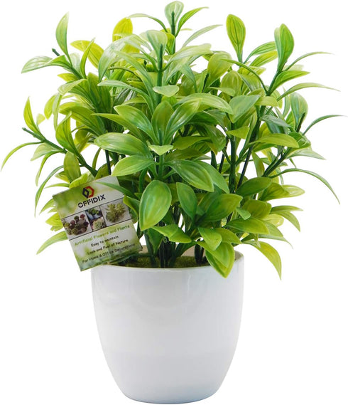 OFFIDIX Mini Plastic Artificial Eucalyptus Leaves, Faux Plant with Pots for Home and Office Decor